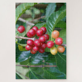 Quebra-cabeça Riening Kona Coffee Cherries, Havaí