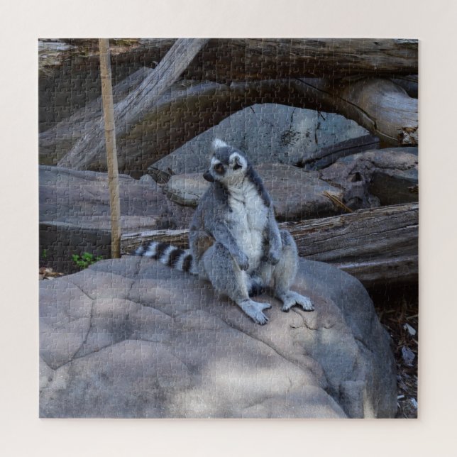 Quebra-cabeça Ringtail Possum Foreman No Trabalho, (Vertical)