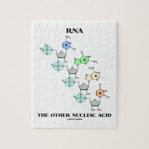 Quebra-cabeça RNA o outro ácido nucleico (estrutura química)