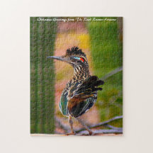 Road Runner Arizona. Saudações de Natal