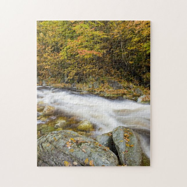 Quebra-cabeça Roaring Brook no outono no Green Vermont (Vertical)