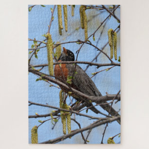 Quebra-cabeça Robin Americano empoleirado no galho com catkins