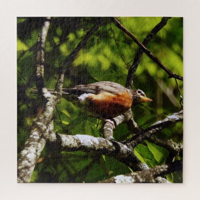 Quebra-cabeça Robin Curioso (Vertical)