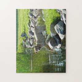 Quebra-cabeça Rochas do lago labrador Retriever