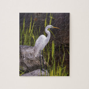 Quebra-cabeça Rochedos do rio Heron Bird