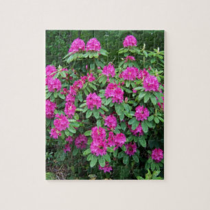 Quebra-cabeça Rododendro da floresta