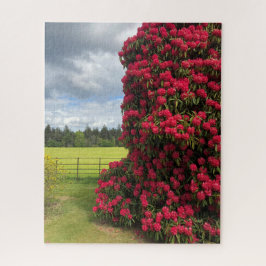 Quebra-cabeça Rododendro e vista panorâmica na Escócia
