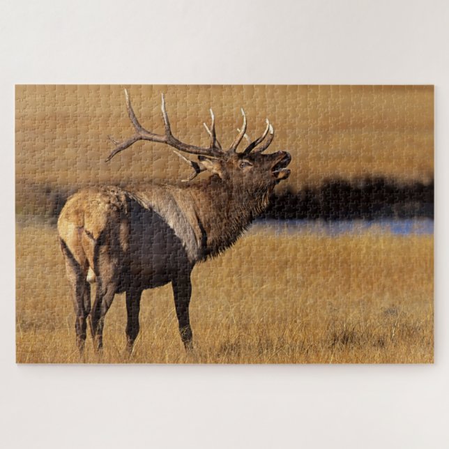 Quebra-cabeça Roosevelt Eull Elk Wyoming (Horizontal)