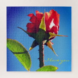 Quebra-cabeça Rosa