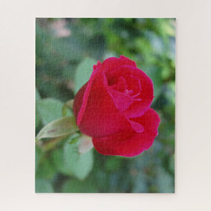 Quebra-cabeça Rosa