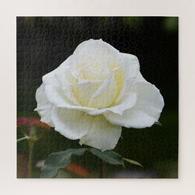 Quebra-cabeça Rosa branca floral de Natal (Vertical)