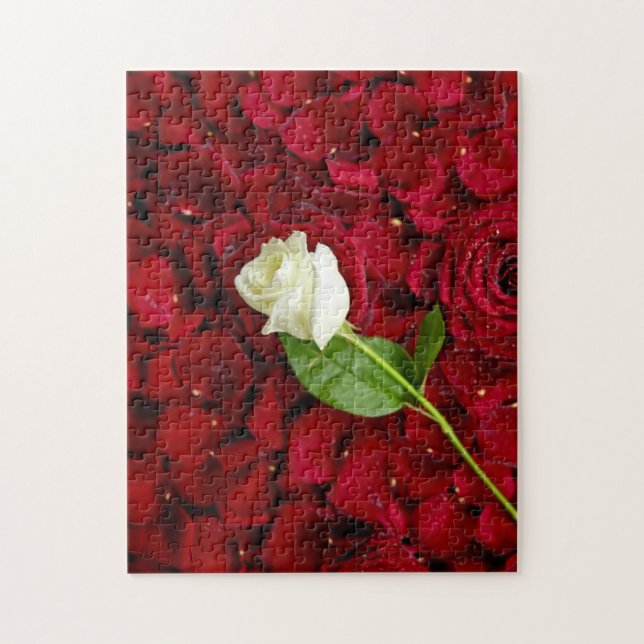 Quebra-cabeça Rosa branco nas pétalas vermelhas (Vertical)