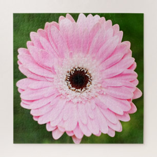 Quebra-cabeça Rosa claro Gerbera Daisy Floral