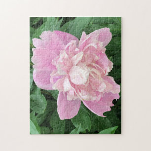 Quebra-cabeça Rosa claro Peony Jigsee