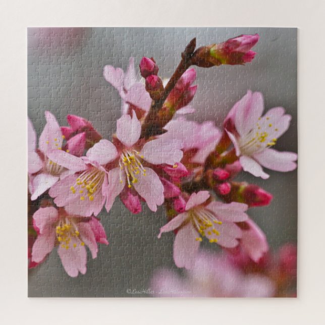 Quebra-cabeça Rosa Contra Uma Cinza Céu Japonês Blossomas De Cer (Vertical)