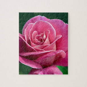 Quebra-cabeça Rosa de chá híbrido rosa