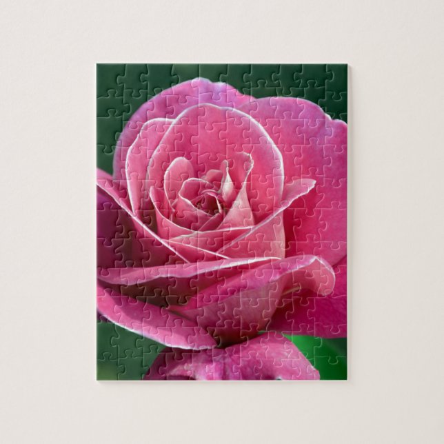 Quebra-cabeça Rosa de chá híbrido rosa (Vertical)