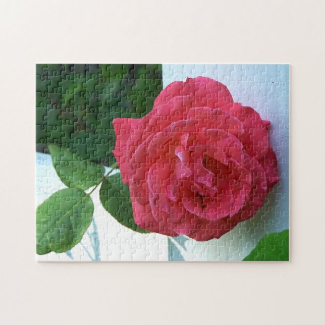 Quebra-cabeça Rosa de coral rosa (Horizontal)