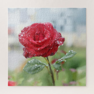 Quebra-cabeça Rosa em gotas de chuva