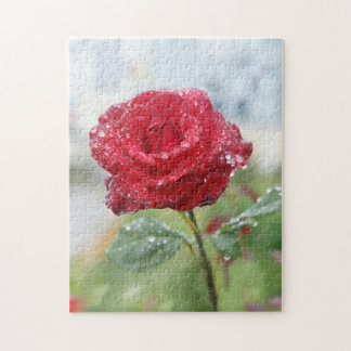 Quebra-cabeça Rosa em gotas de chuva