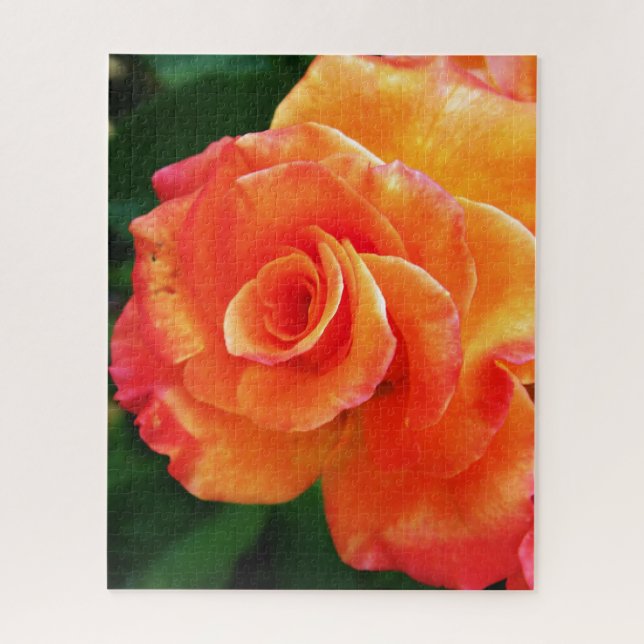 Quebra-cabeça Rosa flor de laranja (Vertical)