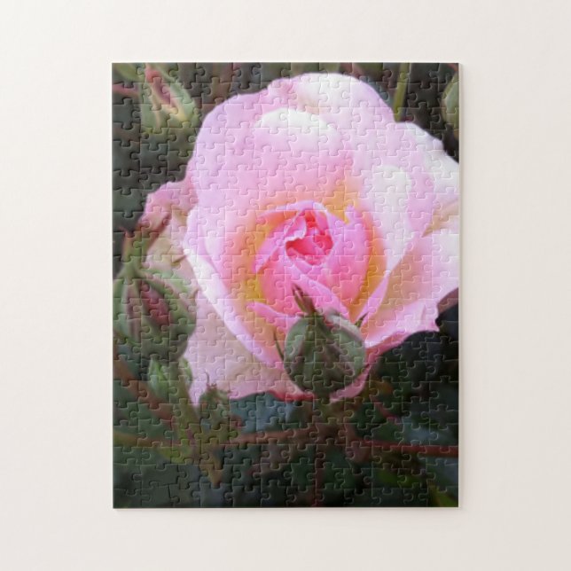 Quebra-cabeça Rosa Inglesa Perfeita (Vertical)