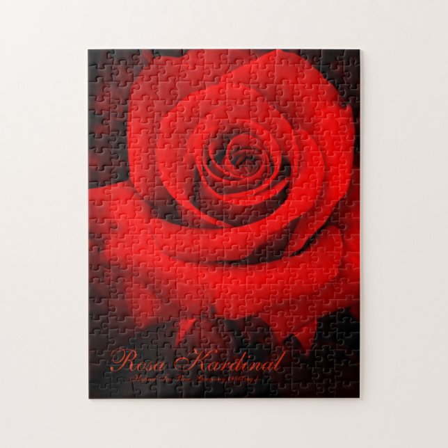 Quebra-cabeça Rosa Kardinal [quebra-cabeça de serra-de-vidro (25 (Vertical)