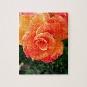 Quebra-cabeça Rosa laranja