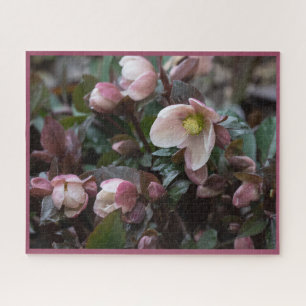 Quebra-cabeça Rosa Lenten