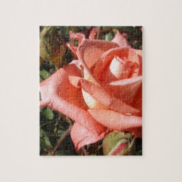 Quebra-cabeça Rosa Rosa Cor-de-rosa Pêssego