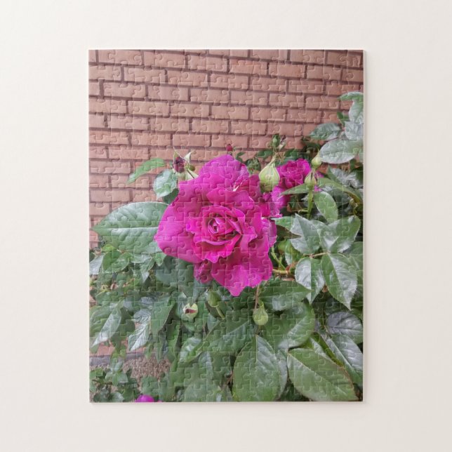 Quebra-cabeça Rosa Rosa Rosa (Vertical)