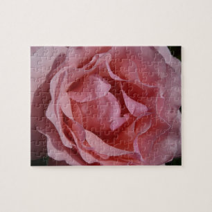 Quebra-cabeça Rosa Rosa Rosa II Bonito Floral