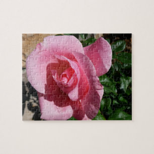 Quebra-cabeça Rosa Rosa Rosa Jardim Floral
