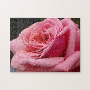 Quebra-cabeça Rosa Rosa Rosa Rosa I Bonito Fotografia Floral