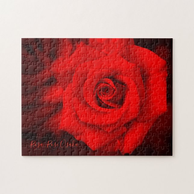 Quebra-cabeça Rosa ‘Rose Osaka’  [Quebra-cabeça: 252P] (Horizontal)