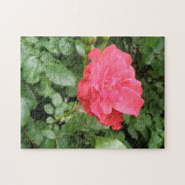 Quebra-cabeça Rosa selvagem (Horizontal)
