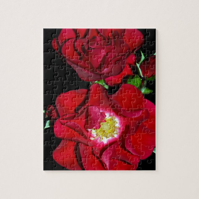 Quebra-cabeça Rosa vermelha em black.jpg (Vertical)