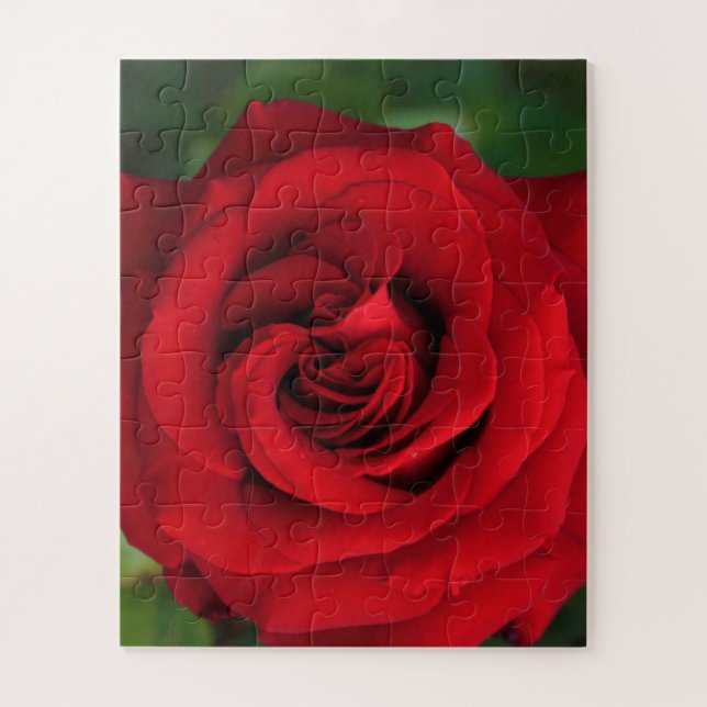 Quebra-cabeça Rosa vermelha grande Solteiro para cima Fechar (Vertical)