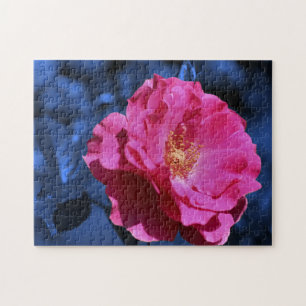 Quebra-cabeça rosa vermelha Na Flor Azul Do Tom