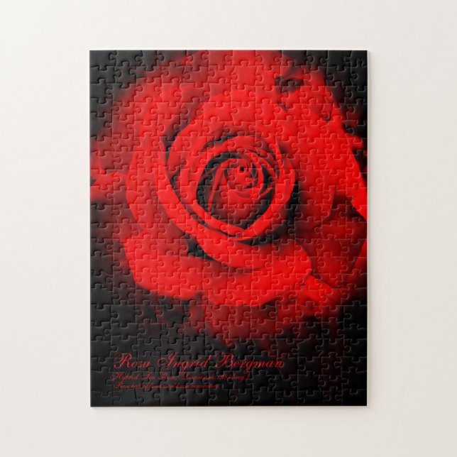 Quebra-cabeça Rosa Vermelha [Quebra-cabeça (252 peças)] (Vertical)