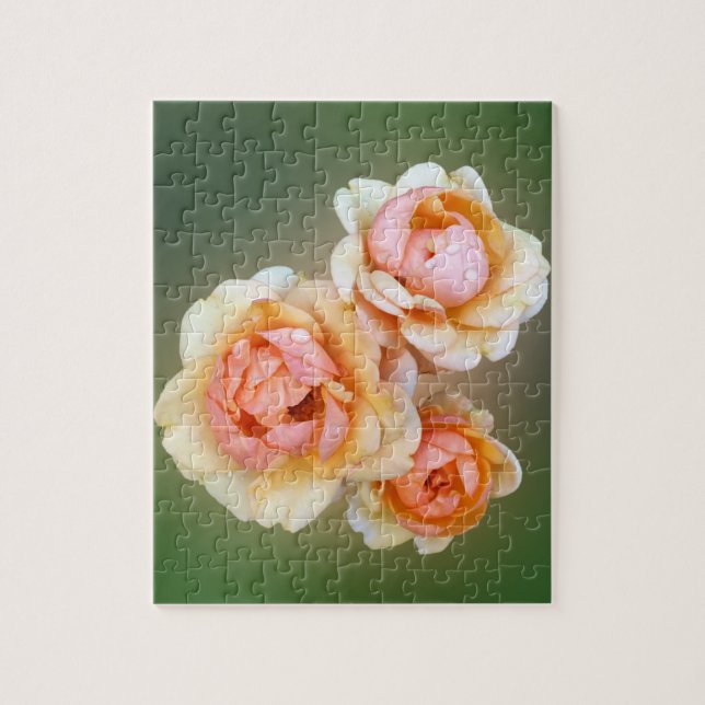 Quebra-cabeça rosas amarelas (Vertical)