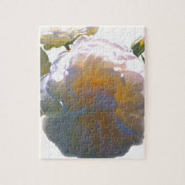 Quebra-cabeça Rosas esbranquiçados de cor laranja esbranquiçada