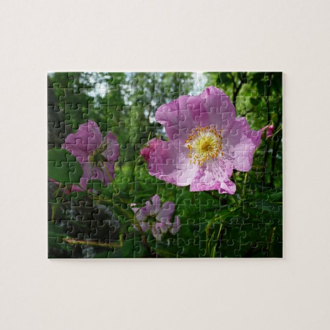 Quebra-cabeça Rosas Rosa Selvagens no Alasca (Horizontal)