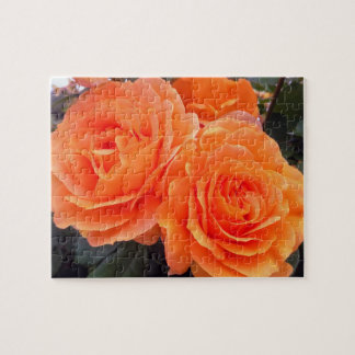 Quebra-cabeça Rosas Tangerina, Quebra-cabeça, 20 por 25 cm, 110