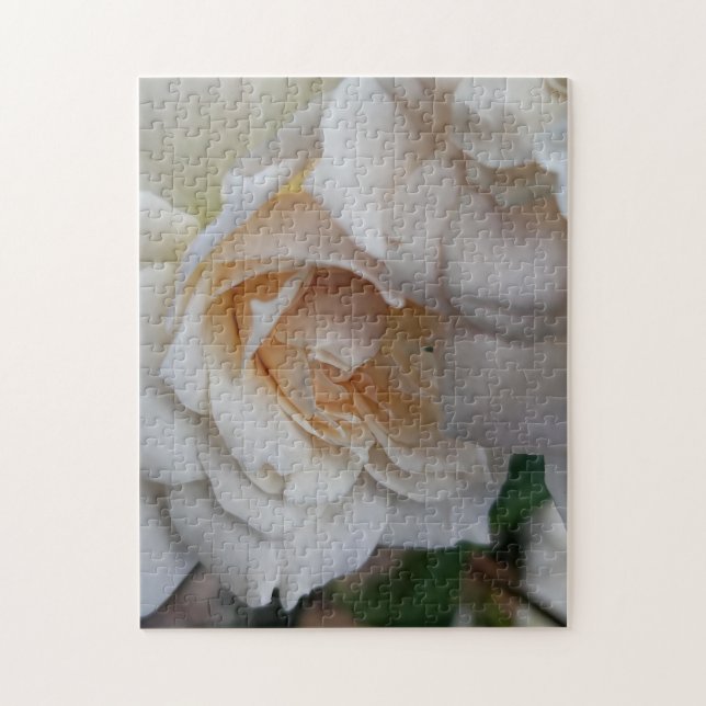 Quebra-cabeça Rosas tímidas (Vertical)