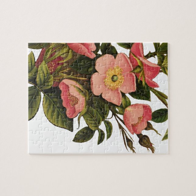 Quebra-cabeça Rosas Vintage Lindas Botânica Rosa (Horizontal)