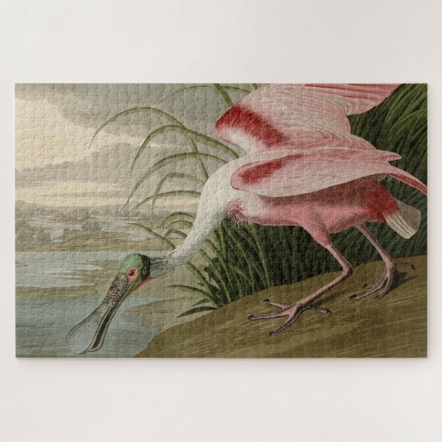 Quebra-cabeça Roseate Spoonbill, das Aves da América de Audubon (Horizontal)