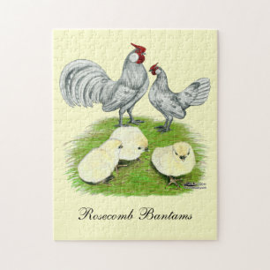Quebra-cabeça Rosecomb Bantams e Pintinhos