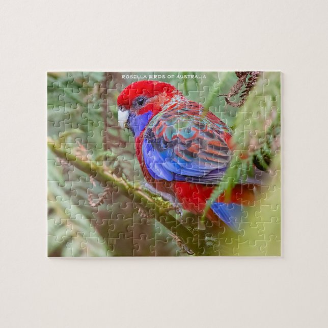 Quebra-cabeça Rosella Aves da Austrália (Horizontal)