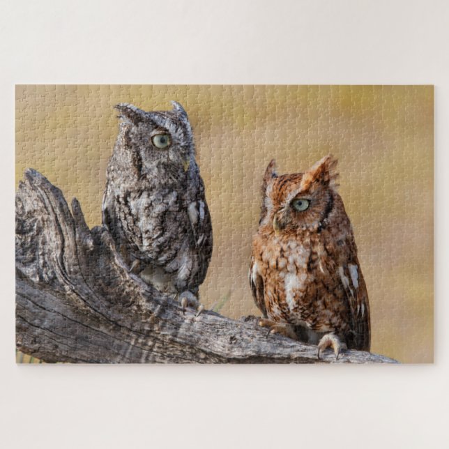 Quebra-cabeça Rosting em Árvore - Ecrã Oriental (Horizontal)